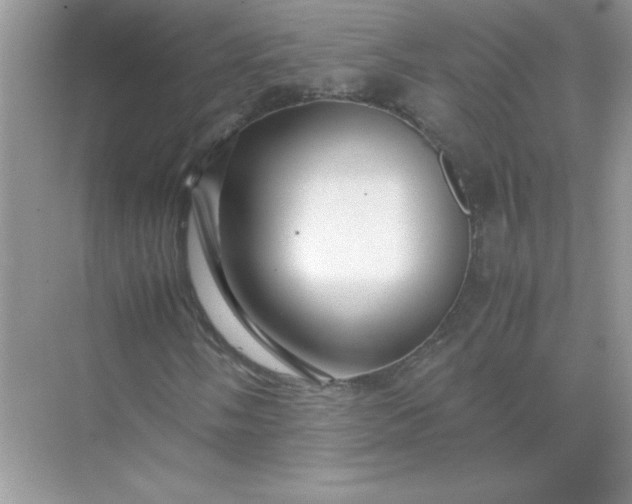 X0000071901058200607212010