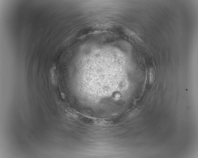 X0000071901059200607212010