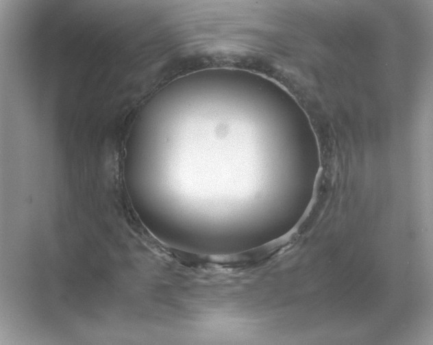 X0000071901061200607212010