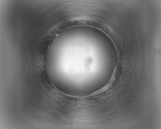 X0000071901062200607212010