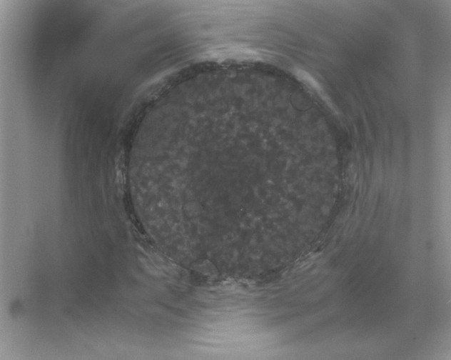 X0000071901063200607212010