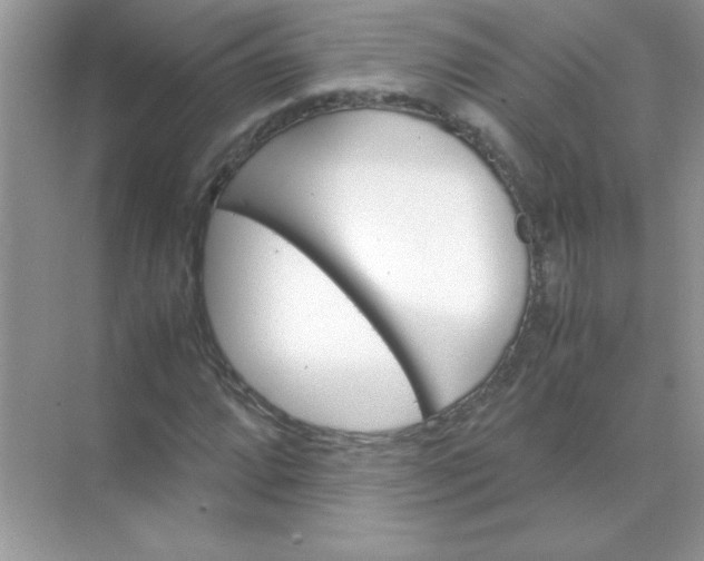 X0000071901064200607212010