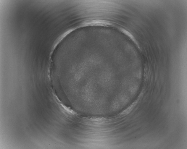 X0000071901066200607212010