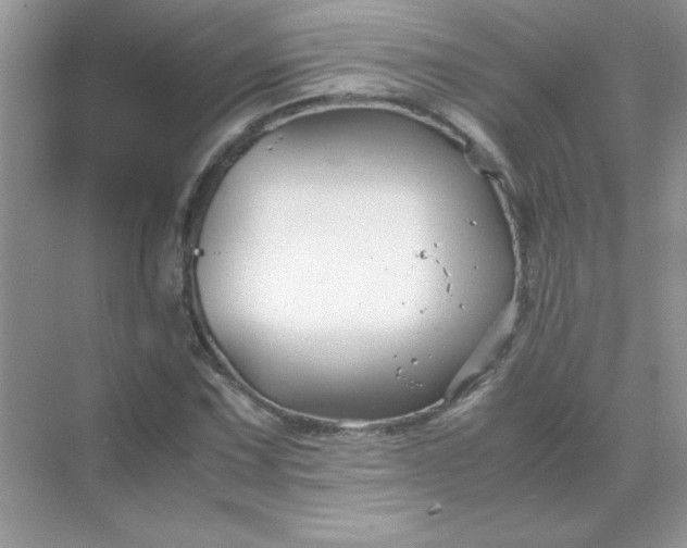 X0000071901067200607212010