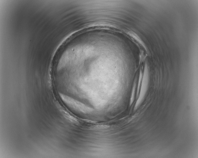 X0000071901068200607212010