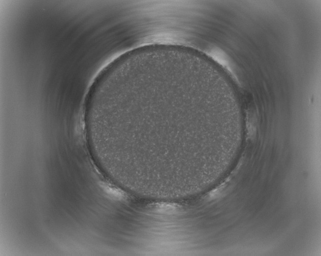 X0000071901070200607212010