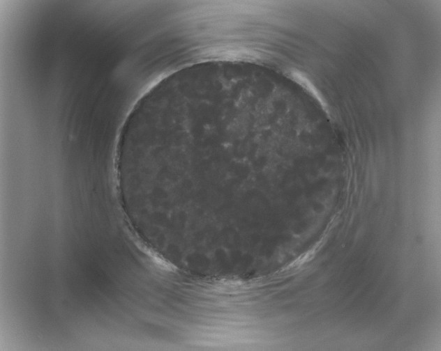 X0000071901071200607212010