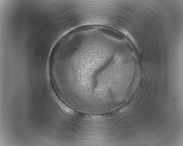 X0000071901072200607212010