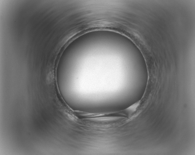 X0000071901073200607212010