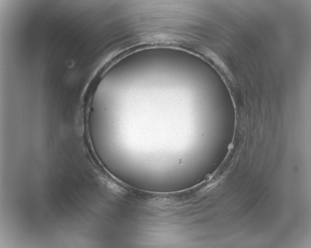 X0000071901075200607212010