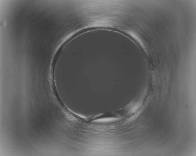 X0000071901077200607212010