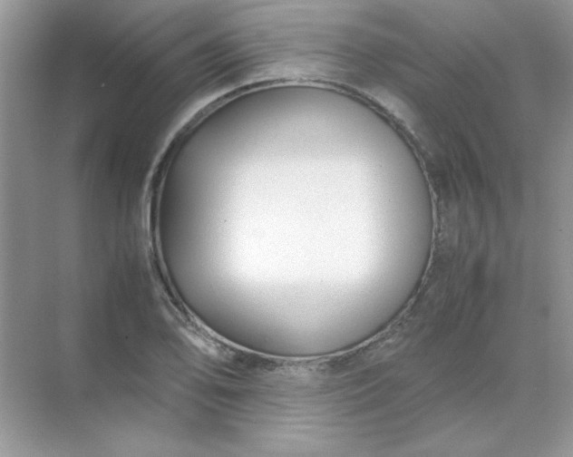 X0000071901078200607212010