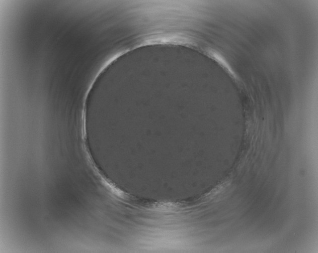 X0000071901079200607212010