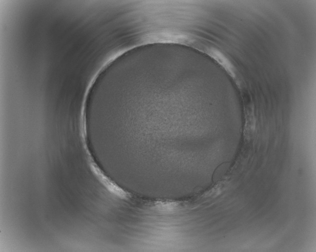 X0000071901080200607212010