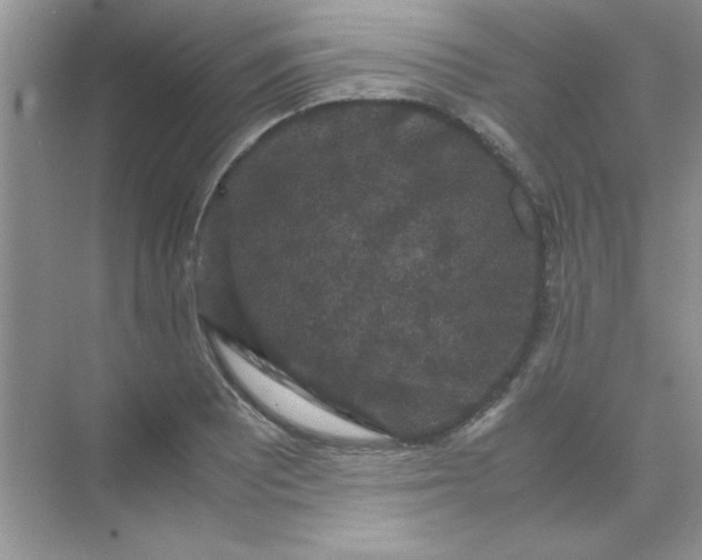 X0000071901081200607212010