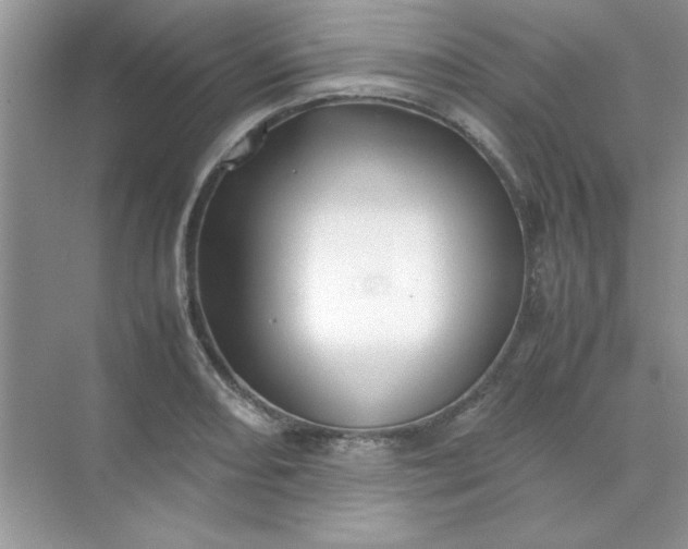 X0000071901082200607212010