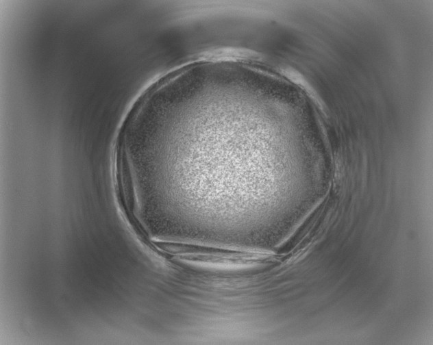 X0000071901083200607212010