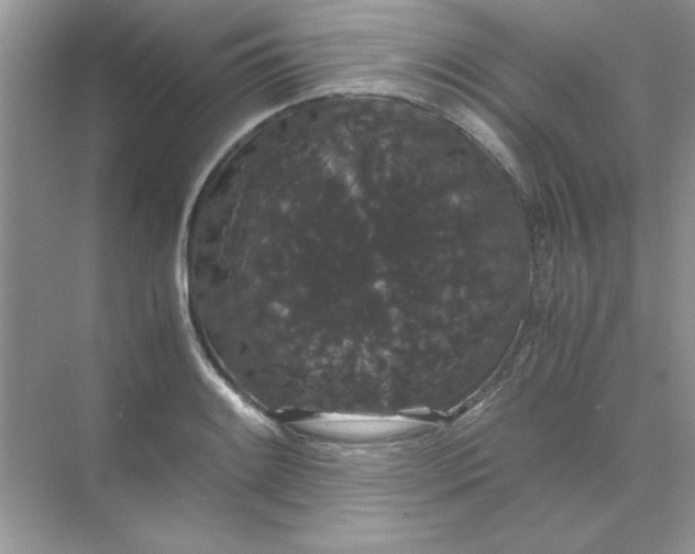 X0000071901084200607212010