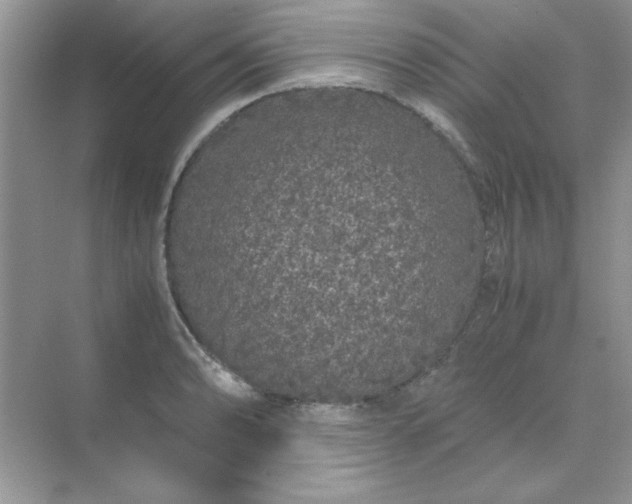 X0000071901086200607212010