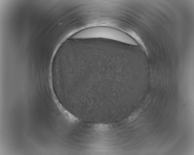 X0000071901088200607212010