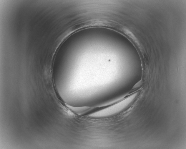 X0000071901089200607212010