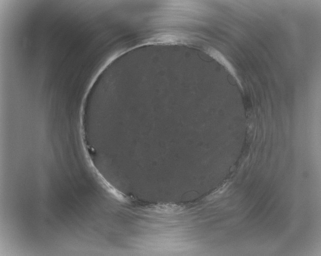 X0000071901091200607212010