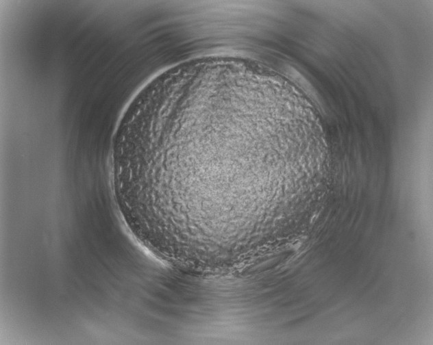 X0000071901092200607212010