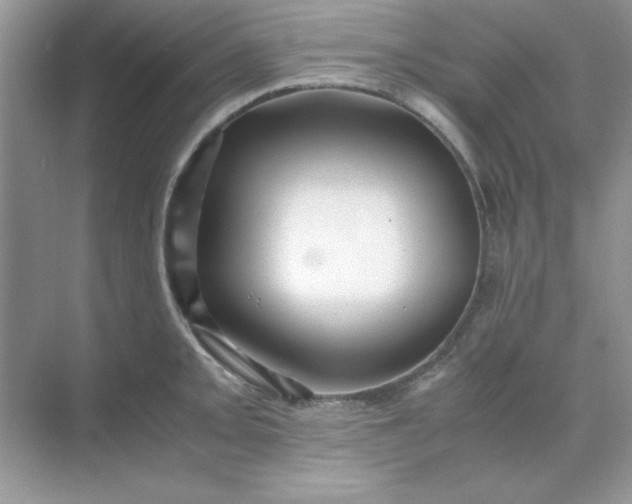 X0000071901093200607212010