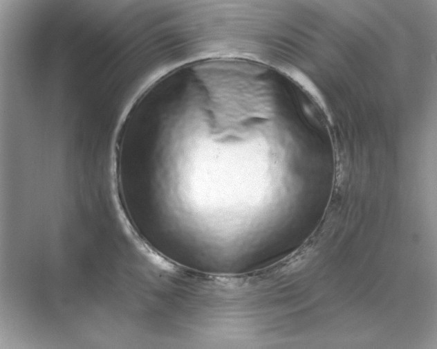 X0000071901096200607212010