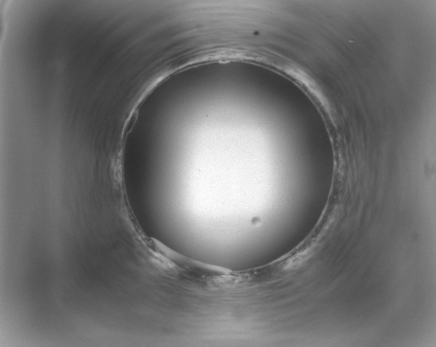 X0000071901097200607212010