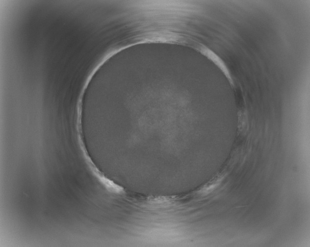 X0000071901099200607212010