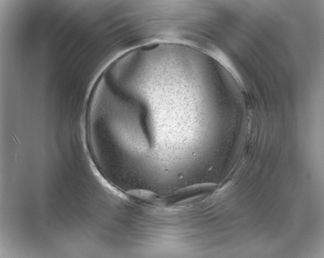 X0000071901100200607212010