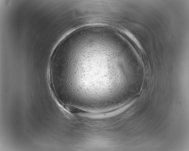 X0000071901101200607212010