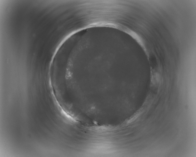 X0000071901102200607212010