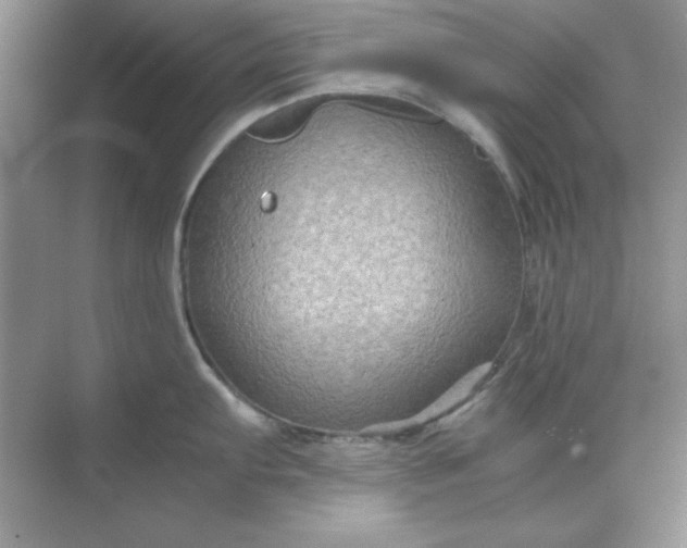 X0000071901103200607212010