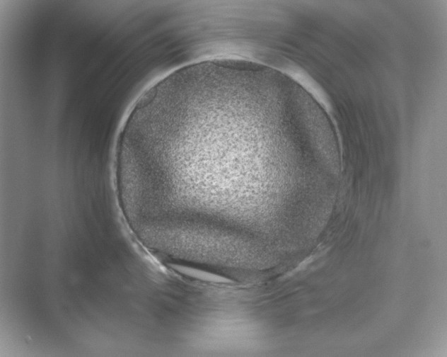 X0000071901104200607212010