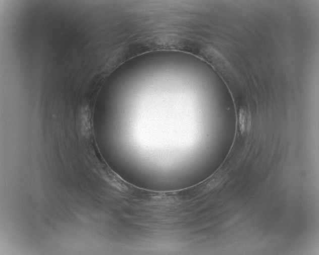 X0000071901107200607212009