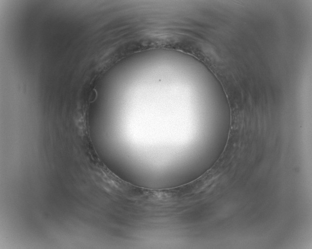 X0000071901109200607212009