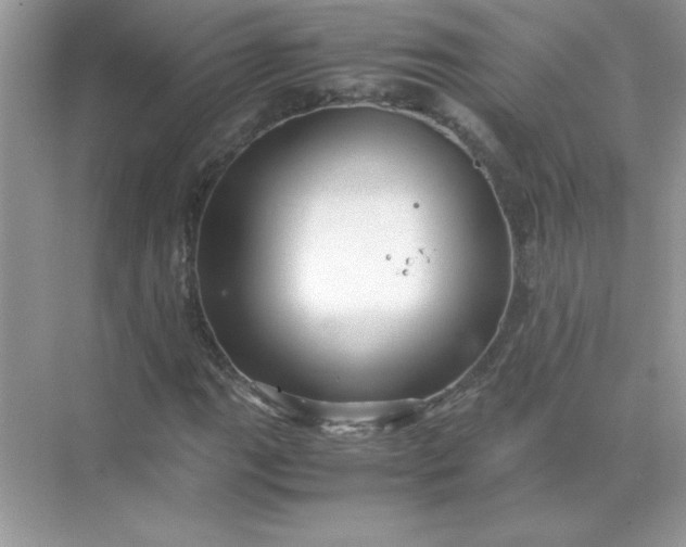 X0000071901111200607212009