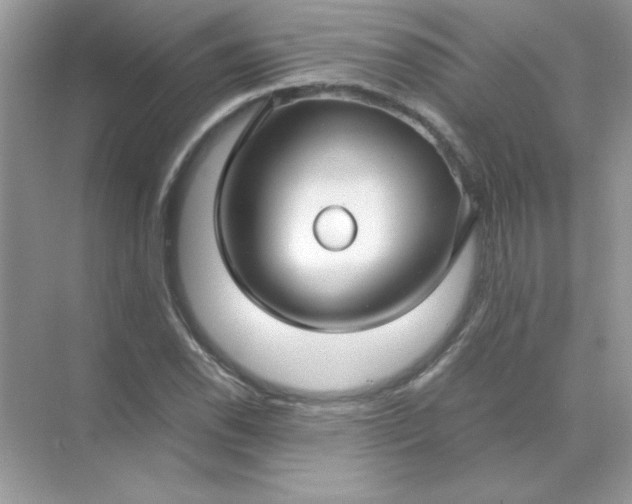 X0000071901118200607212009