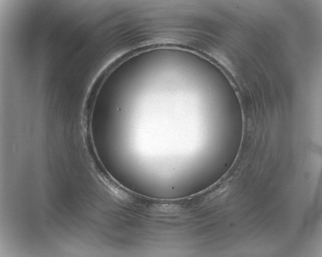 X0000071901119200607212009