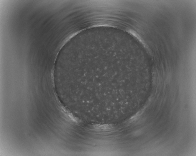 X0000071901121200607212009