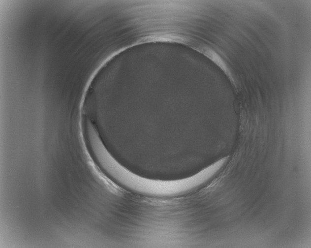 X0000071901132200607212009