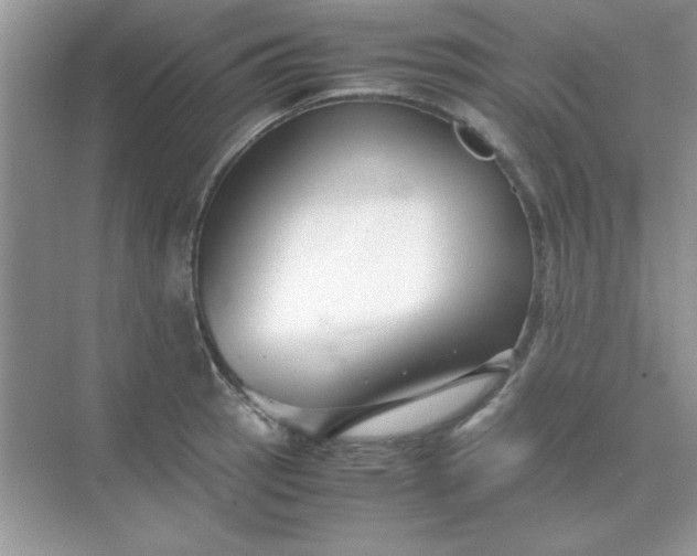 X0000071901137200607212009