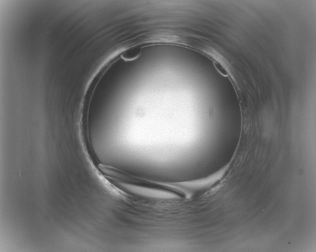 X0000071901139200607212009