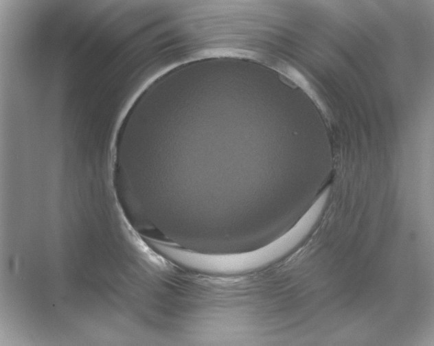 X0000071901140200607212009