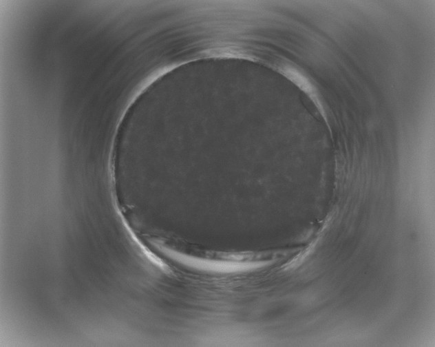 X0000071901141200607212009