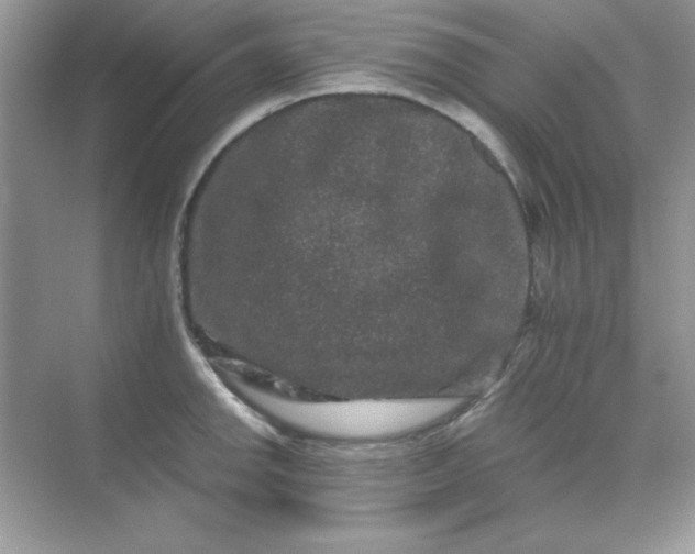 X0000071901142200607212009