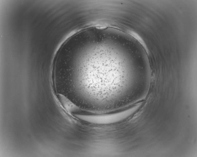 X0000071901146200607212010