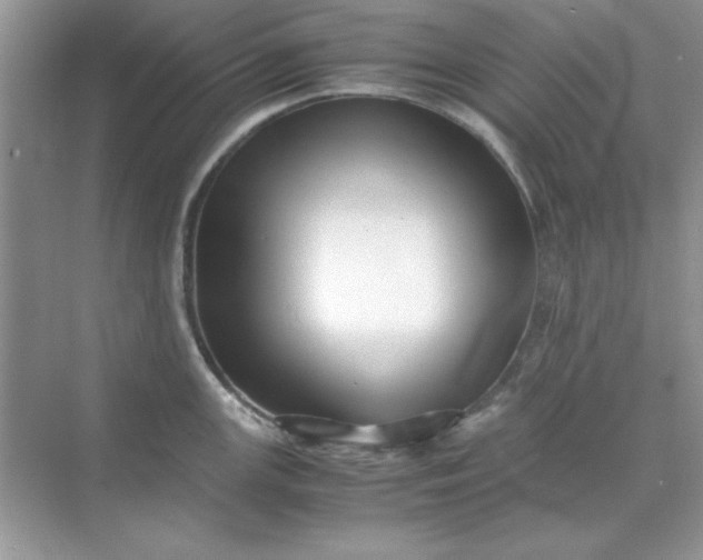 X0000071901147200607212010